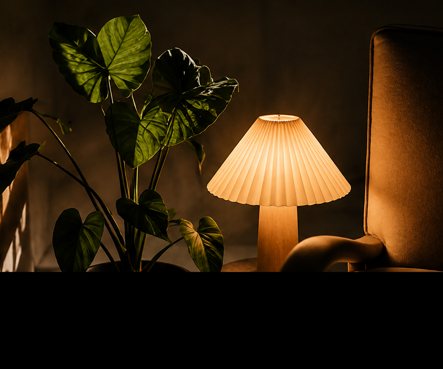 Houseplant beside a warm reading lamp